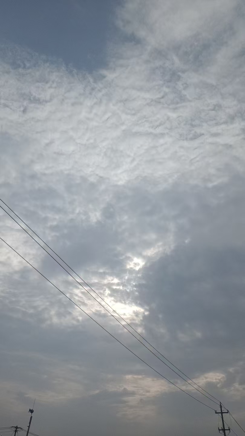 c09247f0dc01e610c2d0063875715ac5.jpg
